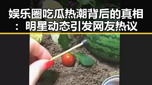 娱乐圈吃瓜热潮背后的真相：明星动态引发网友热议