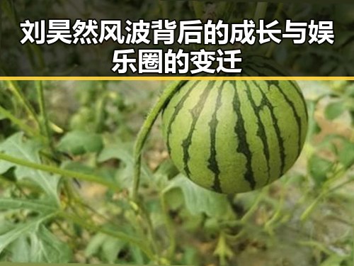 刘昊然风波背后的成长与娱乐圈的变迁