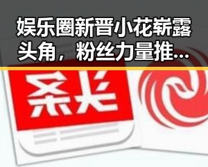 娱乐圈新晋小花崭露头角，粉丝力量推动变革