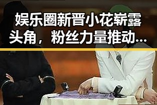 娱乐圈新晋小花崭露头角,粉丝力量推动变革