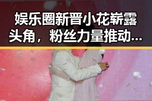 娱乐圈新晋小花崭露头角,粉丝力量推动变革